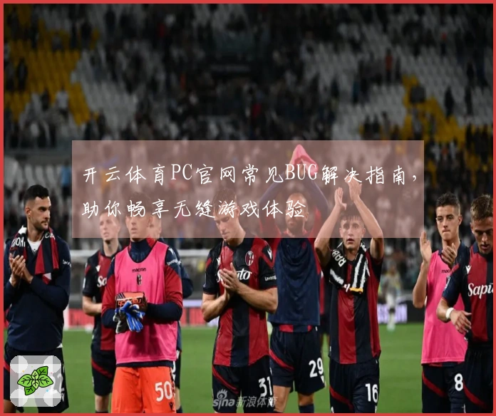 开云体育PC官网常见BUG解决指南，助你畅享无缝游戏体验
