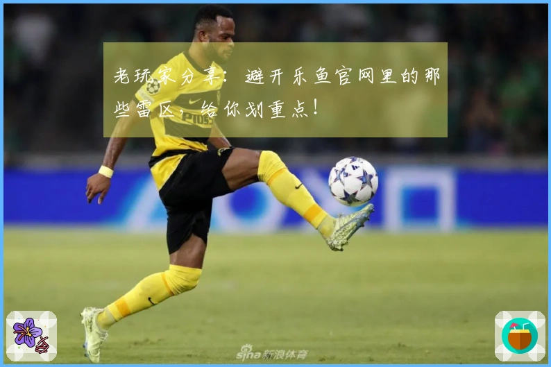 老玩家分享：避开乐鱼官网里的那些雷区，给你划重点！